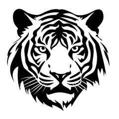 Fototapeta premium head of tiger
