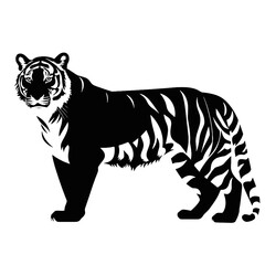 tiger illustration