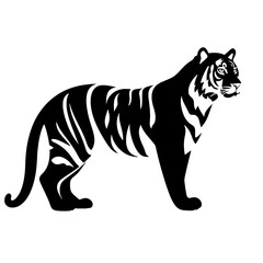 tiger