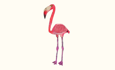 Flamingo bird, Animal wildlife watercolor vector illustration.