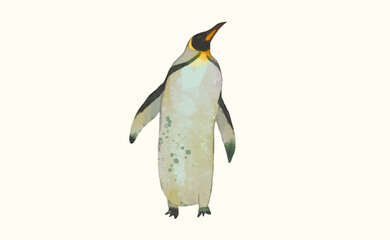 Penguin, Animal wildlife watercolor vector illustration.