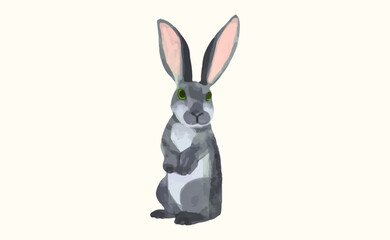 Rabbit, Animal wildlife watercolor vector illustration.
