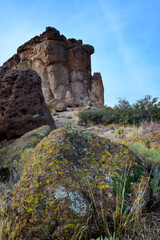 Fototapeta na wymiar Yellow lichens on stones in a mountain desert in Arizona, near Phoenix