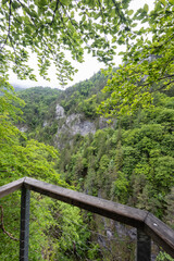 Kvacianska valley in spring time, Chocske vrchy, Slovakia