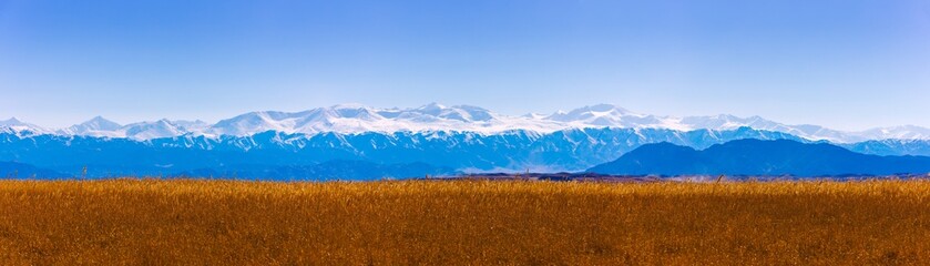 panorama of tall dry yellow grass field in front of mountains sunny autumn afternoon.