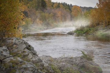 Foggy morning in the autumn forest at the river, nature landscape, selected focus.