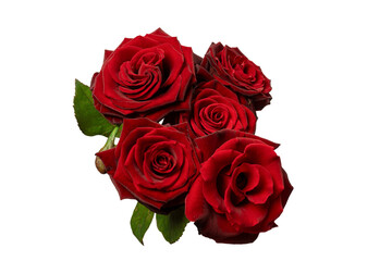 A bouquet of beautiful red roses isolated on a white background.