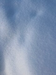Natural snow background, shining snow