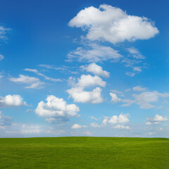 Fototapeta premium Spring landscape