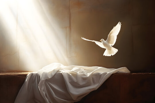 Resurrection Of Jesus Christ Concept. White Bird, Shroud And Crucifixion At Sunrise