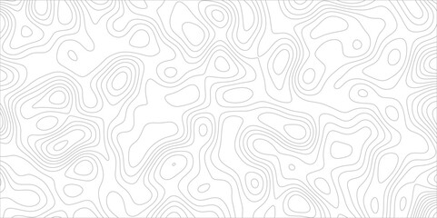 abstract white wave paper curved reliefs background. Topography map pattern, Geographic curved, vector illustration. seamless textrue, vintage waves. Panorama view multicolor wave curve line.