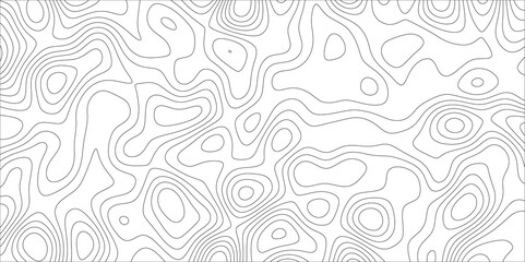 abstract white wave paper curved reliefs background. Topography map pattern, Geographic curved, vector illustration. seamless textrue, vintage waves. Panorama view multicolor wave curve line.