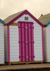 A bright pink and purple beach hut on Paignton Sea front - 701416208