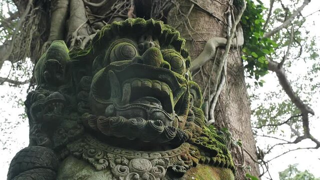 Hd slow motion footage of balinese god statue in Monkey forest, Ubud, Bali, Indonesia.
High angle, parallax movement.