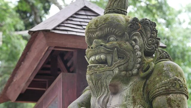 Hd slow motion footage of balinese god statue in Monkey forest, Ubud, Bali, Indonesia.
High angle, parallax movement.