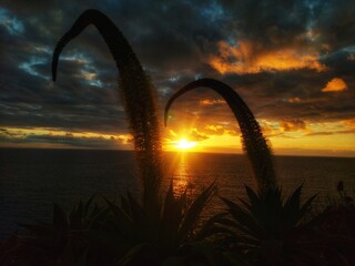 Madeira island landscape, view, nature, background, paradise, island, ocean, clouds, colours,...