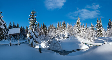Alpine mountain snowy winter fir forest with snowdrifts and frozen small stream