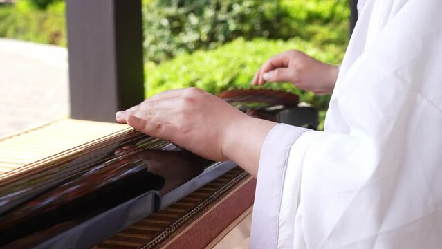 playing the guzheng