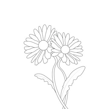 illustration of a flower