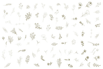 Hand drawn minimal line art floral elements style. Vector illustration of greenery for decoration, wild and garden plants, branches, leaves. logo, tattoo, wedding invitation, save the date card