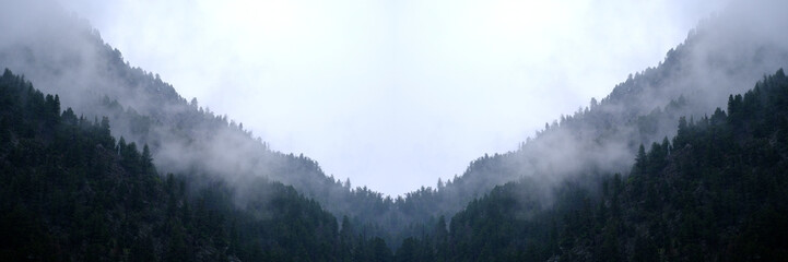 Misty Mountains Ridge Pine Forest Wilderness
