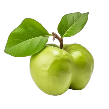 fresh organic elephant apple cut in half sliced with leaves isolated on white background with clipping path