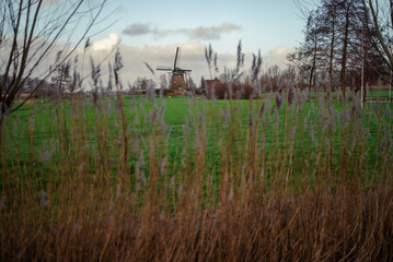 Landscape with a windmill in the Netherlands. 