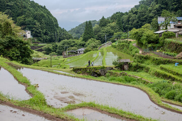 waterfall in Japan