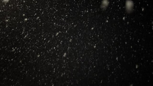 Real snow falling on black background.