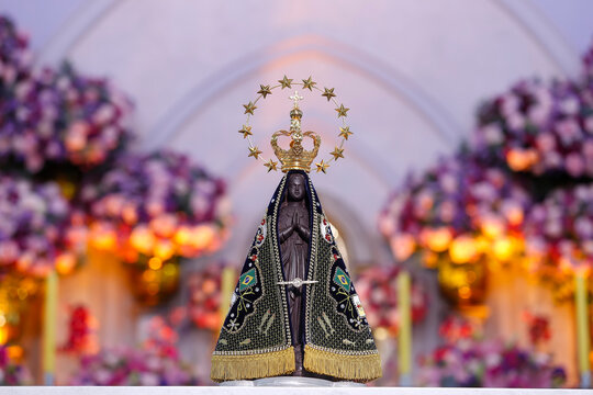 Image of Our Lady of Aparecida - Statue of the image of Our Lady of Aparecida