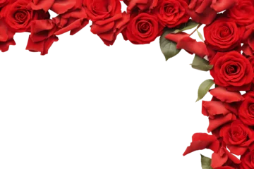 Foto op Aluminium Red rose flower flora scattered flat lay composition top view on transparent background cutout, PNG file. Mockup template for artwork. Wallpaper banner border   © Sandra Chia