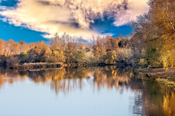 A beautiful landscape of the river surrounded by trees on a sunny summer day under blue sky.