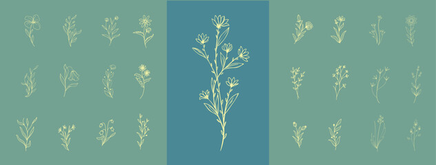 Minimal feminine botanical floral branch in silhouette style. Hand drawn wedding herb, minimalistic flowers with elegant leaves. Botanical rustic trendy greenery vector - obrazy, fototapety, plakaty