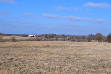 Lake in a Field