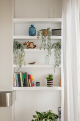 White bookshelves with houseplants and decorative items