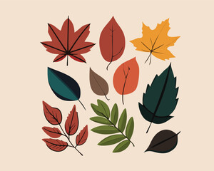 multicolor autumn leaves background