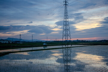 power lines at sunset