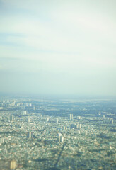 Ho Chi Minh City landscape viewed from the airplane window