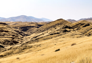 Namib-Naukluft National Park, Namibia - August 23, 2022: Undulating mountains stretch across the horizon, their rugged terrain cloaked in a golden-yellow grass, presenting a serene yet arid landscape.