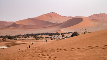 Deadvlei, Namibia - August 24, 2022: Visitors trek across the vast, arid landscape at the base of Big Mamma Dune, with its sweeping curves and warm hues creating a dramatic backdrop.