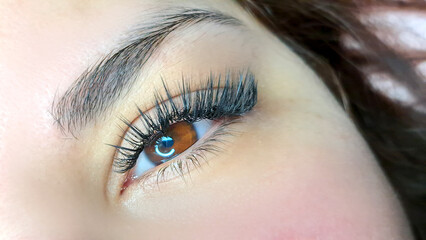 Close up of eye with eyelash extensions ,beauty salon treatment
