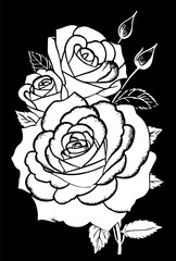 white graphic linear drawing of rose flower on black background, design