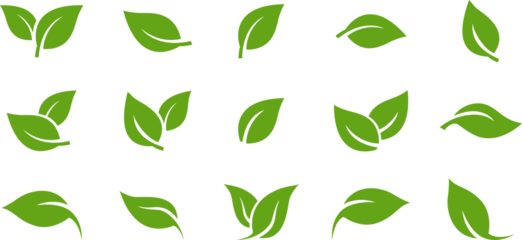 Green leaf icons set. Leaves icon on transparent background. Collection green leaf. Elements design for natural, eco, vegan, bio labels.