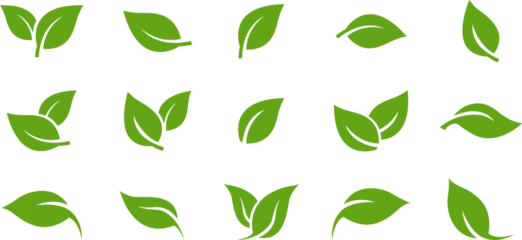 Fotobehang Green leaf icons set. Leaves icon on transparent background. Collection green leaf. Elements design for natural, eco, vegan, bio labels. © The Best Stocker