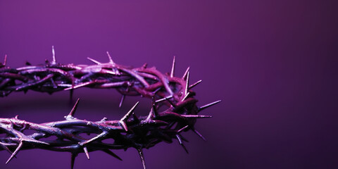 Purple crown of thorns