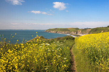 The South-West Coast Path above Porthbeor Beach on the Roseland Peninsula, Cornwall, UK
