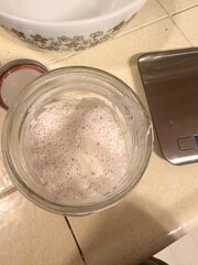 Sourdough Starter