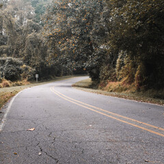 winding road in autumn