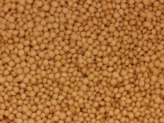 amaranth seed grain cereal natural food dietary healthy