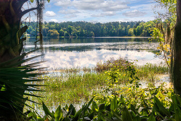 Lake at MaClay Gardens State Park in Tallahassee, Florida